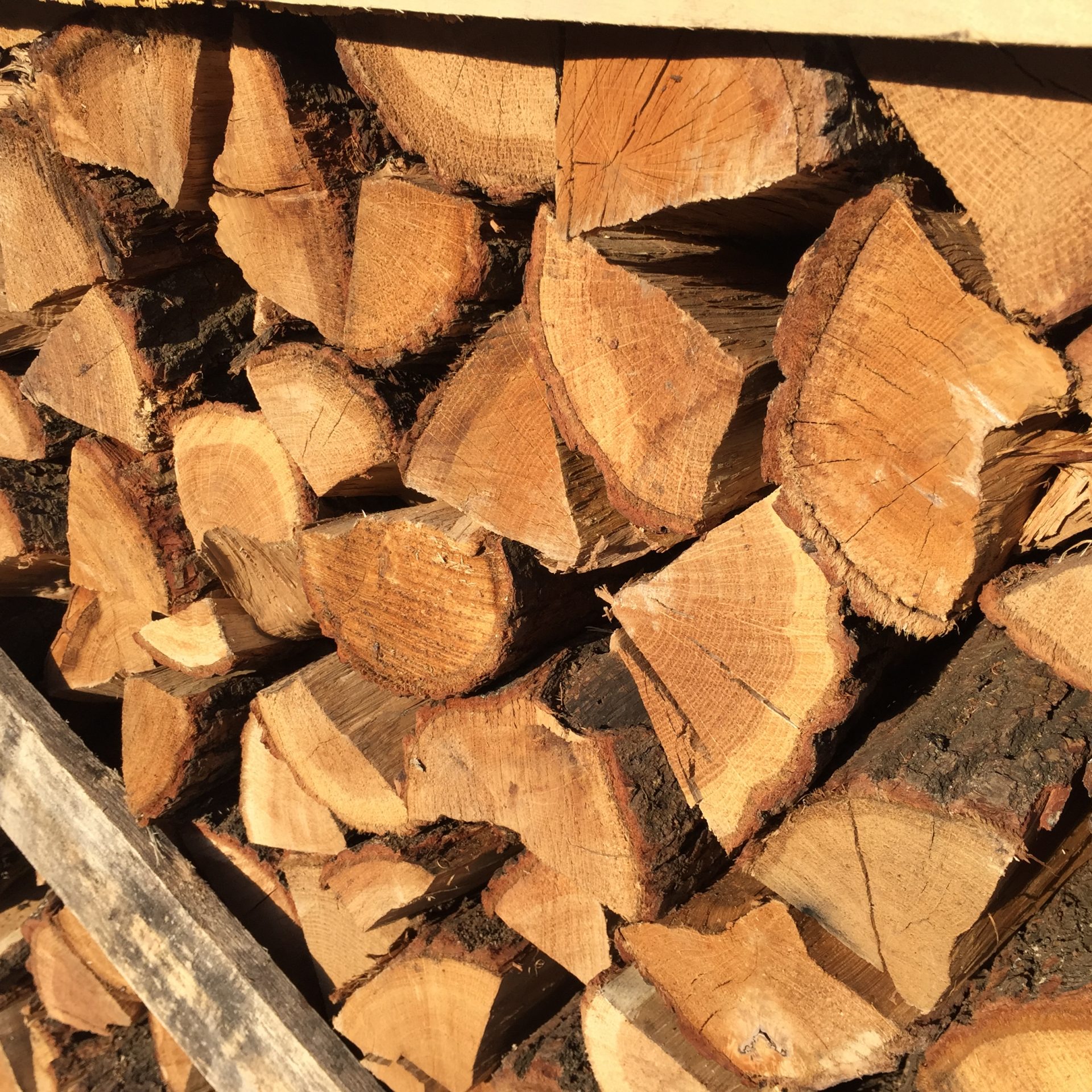 Foto 06.08.15 18 31 38