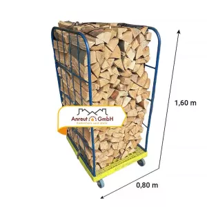 Brennholz Premium Buche 1 SRM kammergetrocknet